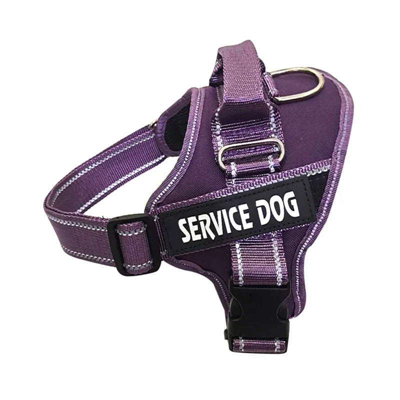 Personalized Reflective No-Pull Dog Harness