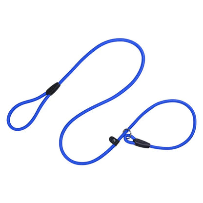 Nylon Slip Lead Dog Leash